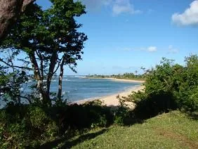 DSC04665