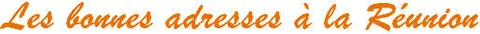 logo_re974_centre