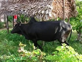 DSC06269