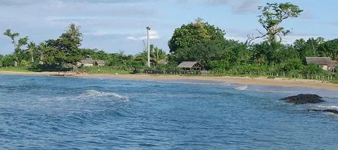 IMGP6010