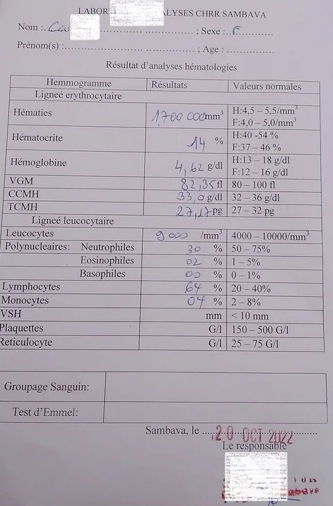 307992895_851030442920113_3516026579662631375_n - Copie