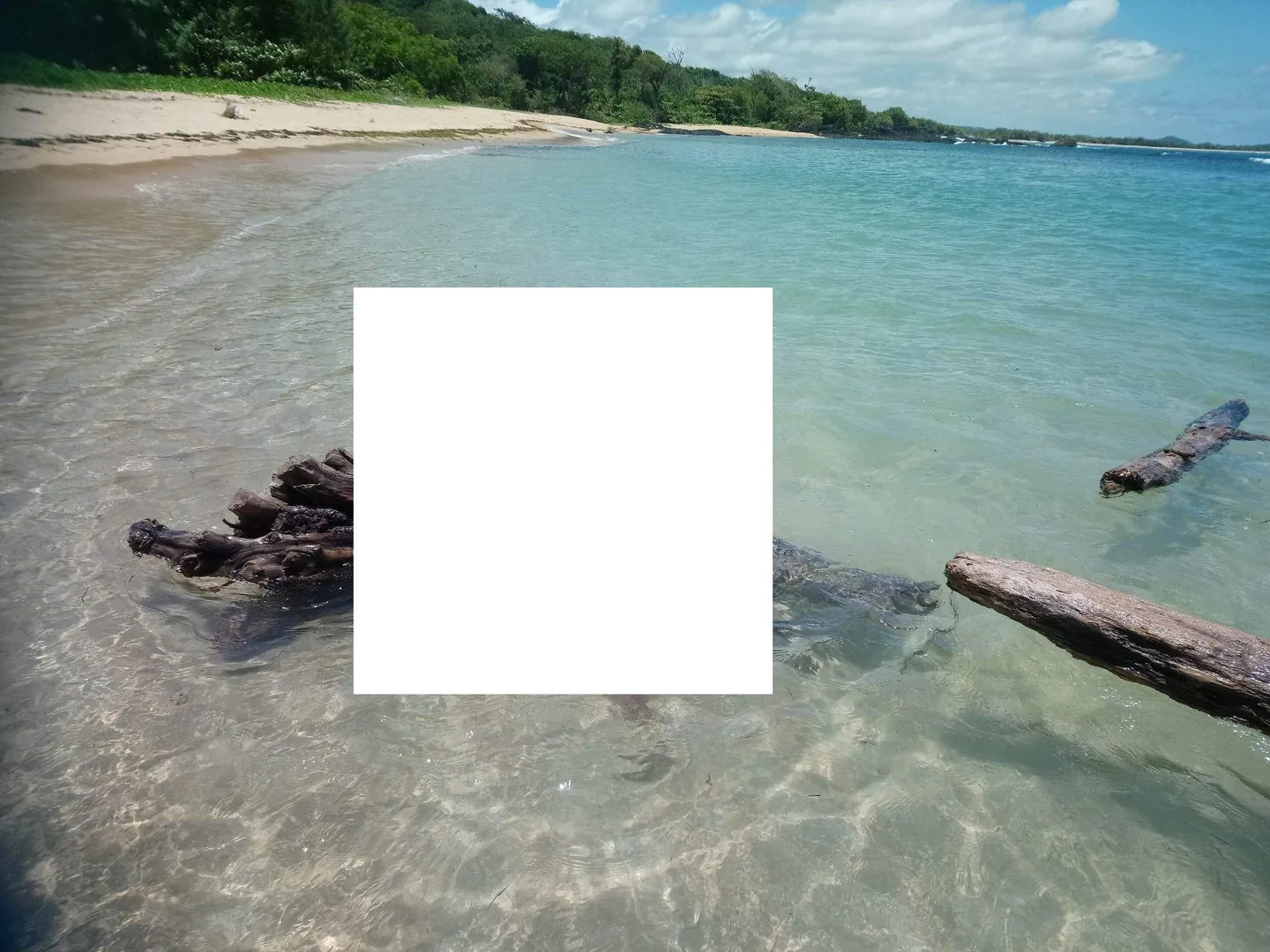 315516639_419448576909687_7042562811341989220_n