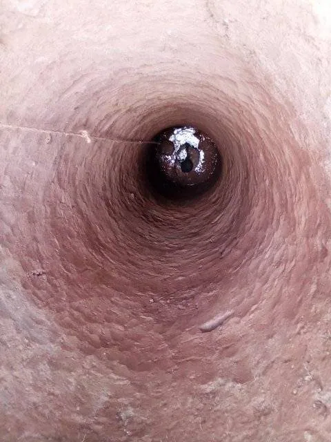 314377110_1398380360568913_7359473422809956060_n