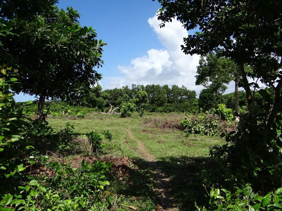 DSC01786 - Copie