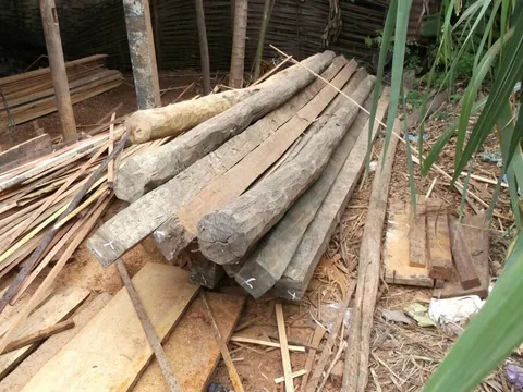 ACHAT DE BOIS MISSION MAI 2014 3