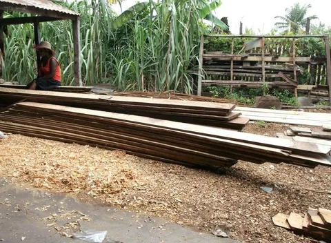 ACHAT DE BOIS MISSION MAI 2014