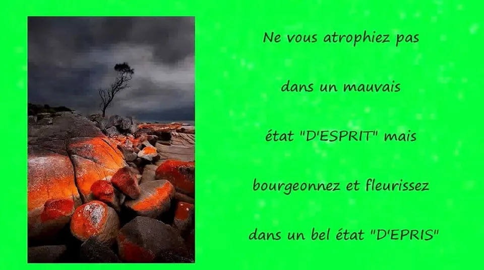 prev